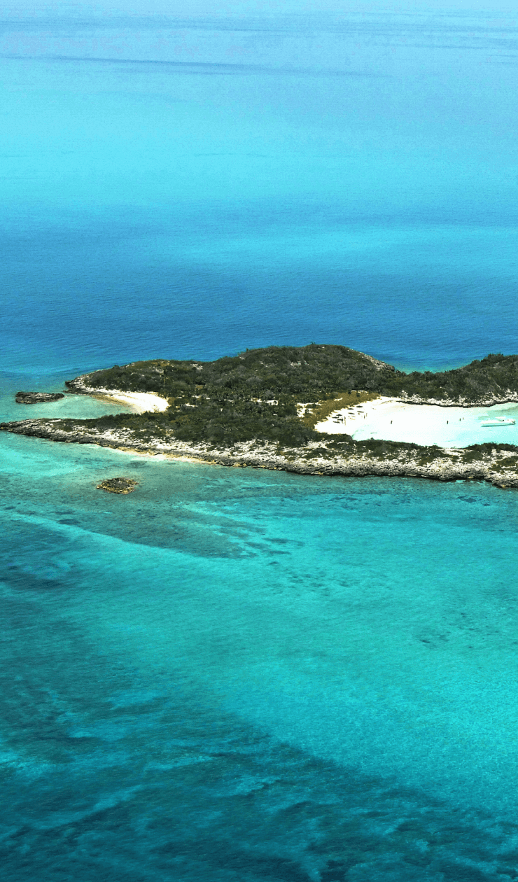 Alan’s Cay Around lunch time we will anchor at this island with its one of a kind iguana’s and beautiful snorkeling spots. 