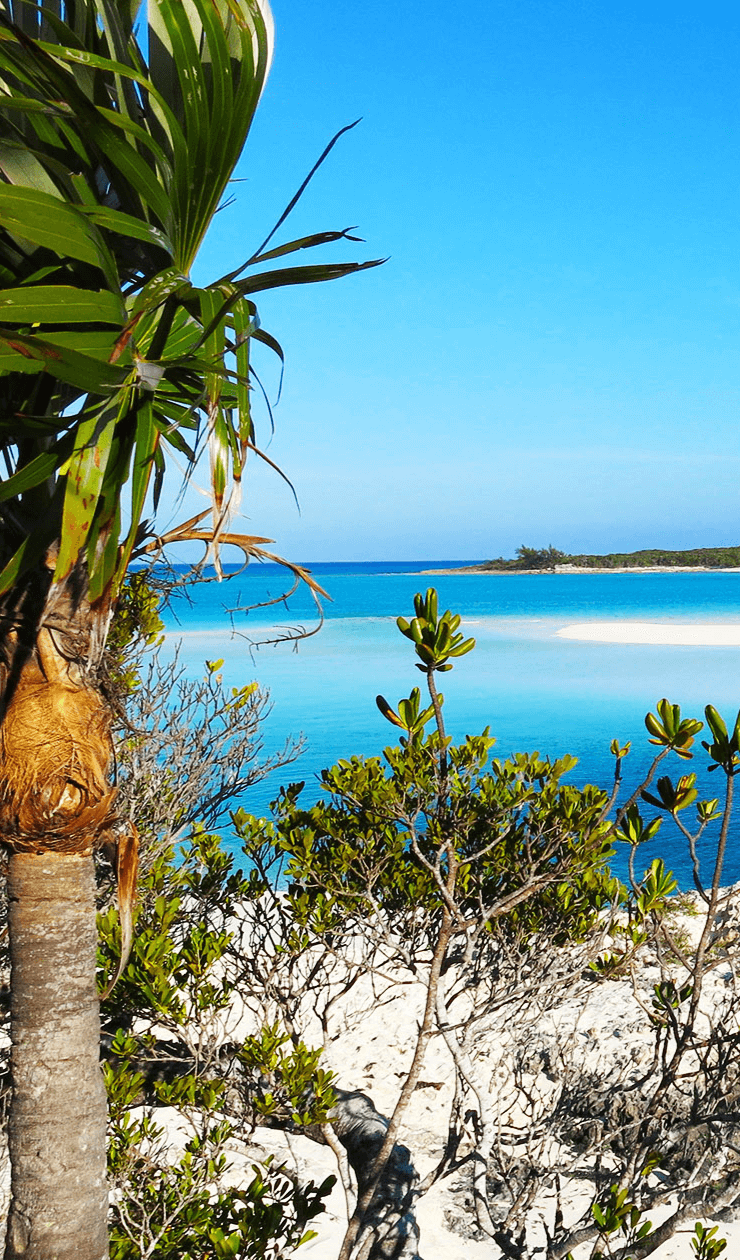 Shroud Cay: This uninhabited island offers exceptional unspoiled nature. During low tide  you can swim and snorkel in pools and walk over stretched sand banks.. a complete different scenery compared to when it’s high tide. 